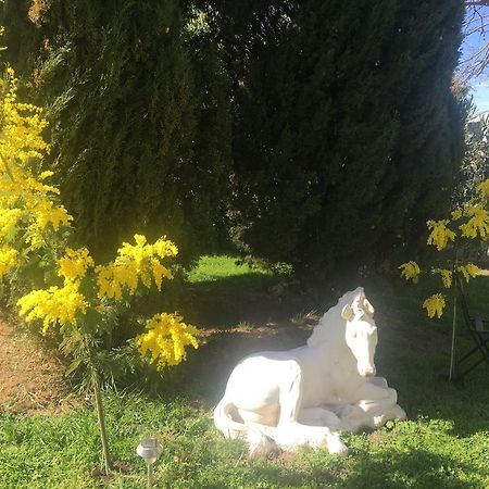 B&B Mas Les Lecques Beaucaire  Exterior photo