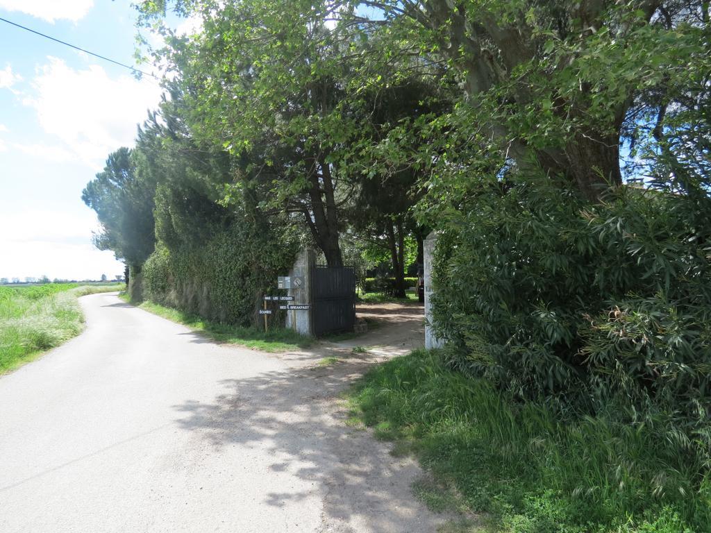 B&B Mas Les Lecques Beaucaire  Exterior photo